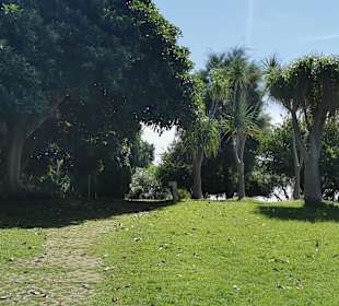 Stadtrundgang Calheta