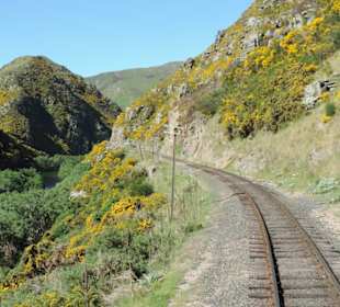 Mit der Taieri Railway durch die Natur Neuselands