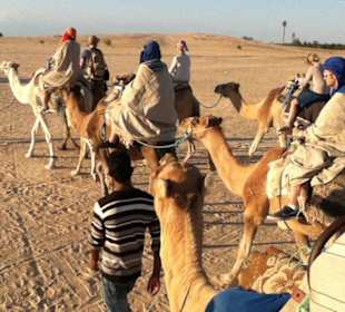 Durch die Wüste Komerziell