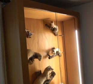 Heimatmuseum Oberstdorf