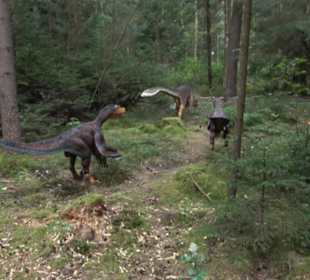 Dinosaurier Museum Altmühltal