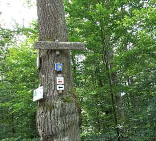 Sonnenaufgangs-Rundwanderung Rübgarten