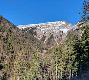 Wandern Sankt Wolfgang im Salzkammergut