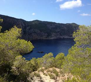Ausblick Cala d'Albarca