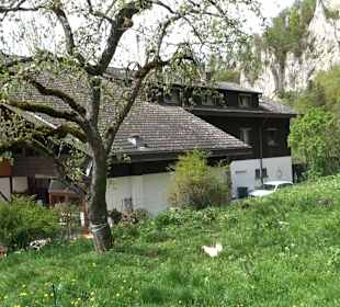 Jägerhaus im Donautal