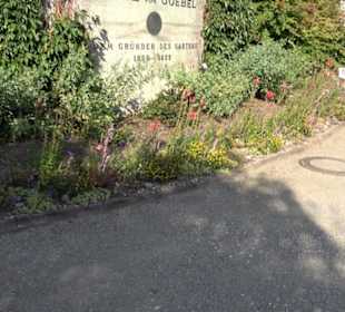 Botanischer Garten München