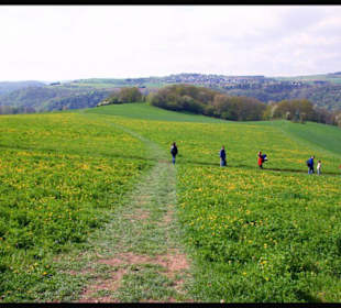 Durch Wald und Wiesen zum Loreleyfelsen