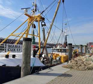 Impressionen aus dem Alten Fischereihafen