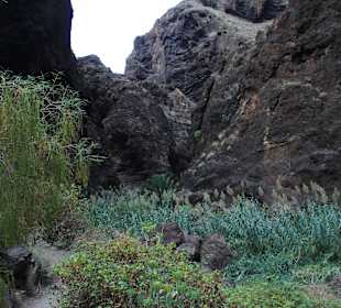 Masca
