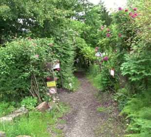 Mezger's Bürgle Park Salzstetten