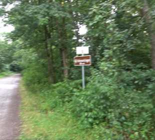 FriedWald Schönbuch