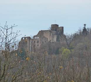 Wanderungen in Baden-Baden und Umgebung