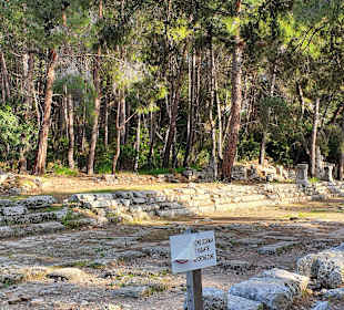 Phaselis