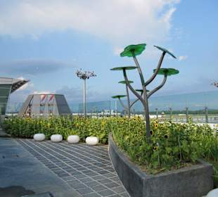 Sunflower-Garden im Terminal 2