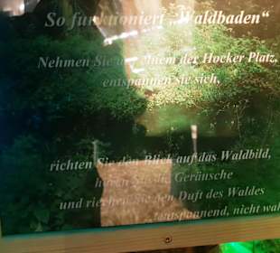 Info im Zelt Wald