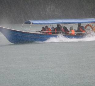 Die wurden gebadet wie die Katzen
