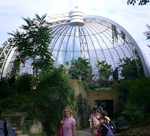 Besonders beeindruckend - das neue Affenhaus