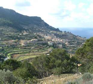 Die Terrassen von Banyalbufar