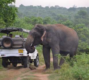 Nationalpark Udawalawe