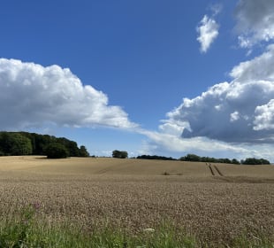 Wandern Rabel