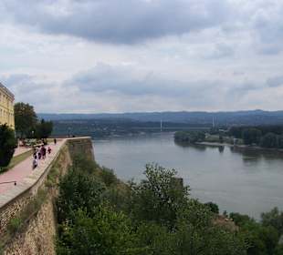 Blick von der Burg auf die Donau