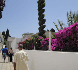 Ausflug Sidi Bou Said