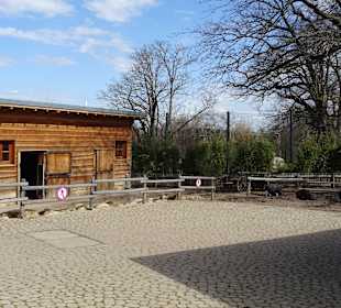 Wilhelma Stuttgart