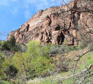 Im Zion Nationalpark