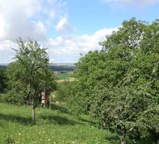 Wanderweg Ammerbucher Gigeleswegle