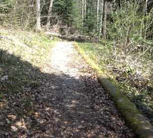 Grafenberger Brünnele