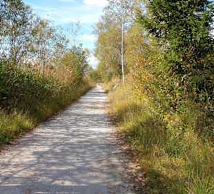 Wanderweg durchs Moor