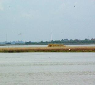 Naturschutzgebiet Vögel