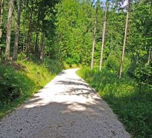 Der Therapeutische Wanderweg