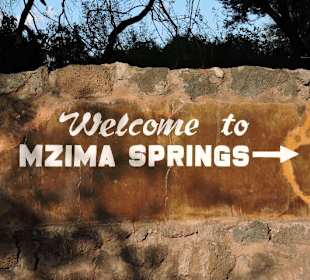 Mzima Springs