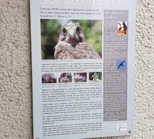 Martin-Luther-Kirche