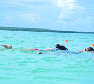 Seesterne beobachten mitten in der Karibik 