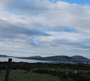 Ośrodek rybacki South West Kerry