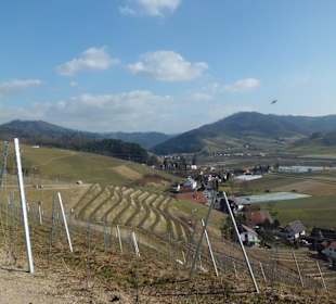 Oberkirch Weinwanderung Panorama