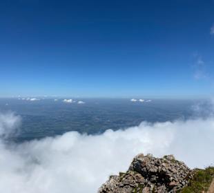 Ausblick 
