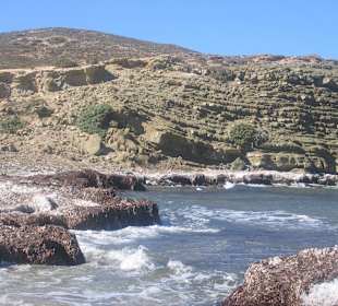 Prasonissi