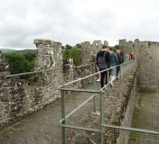 Auf der Stadtmauer in Conwy