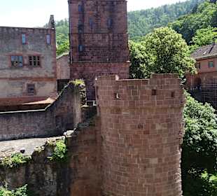 Schloss Heidelberg Ein- und Ausblicke