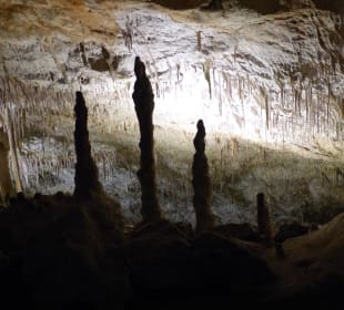 Drachenhöhle / Coves del Drac