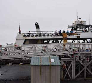 Statek który dowozi