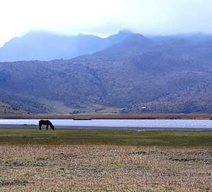 Cotopaxi Nationalpark