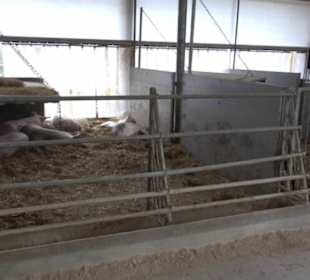 Erlebnisbauernhof und Wildgehege