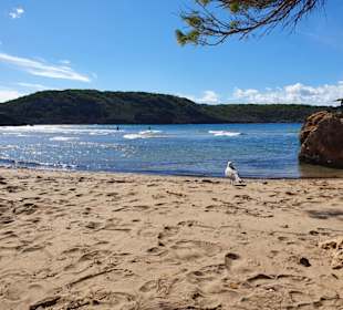Platja des Bot3