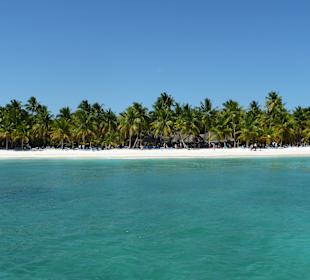 Saona
