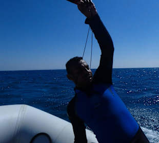 Die Stimmungskanone unter den Guides