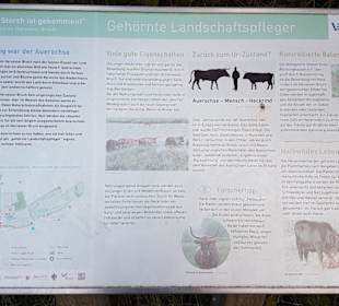 Interessante Infotafeln vorhanden